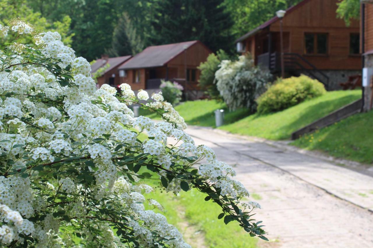 Zloty Potok Resort Экстерьер фото